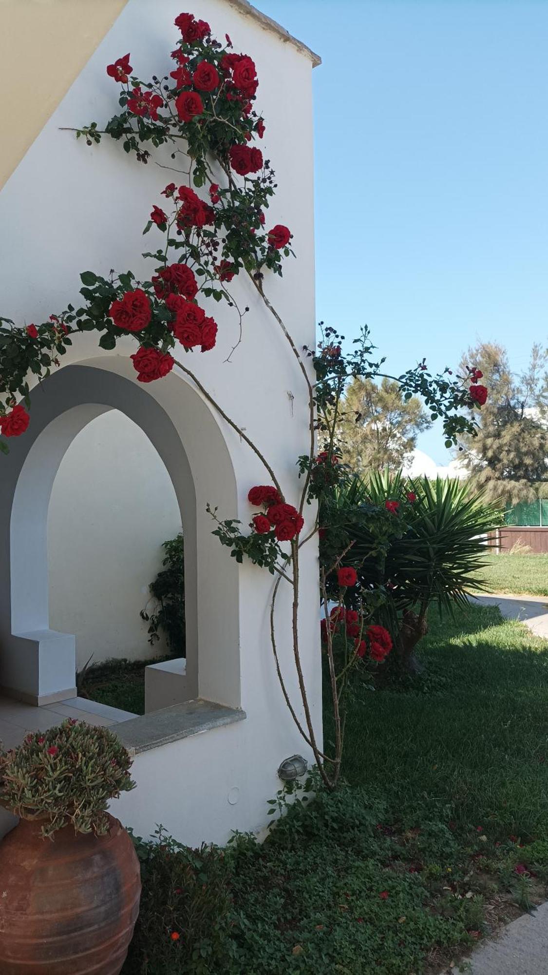Magic Land Apartment Plaka  Exterior photo