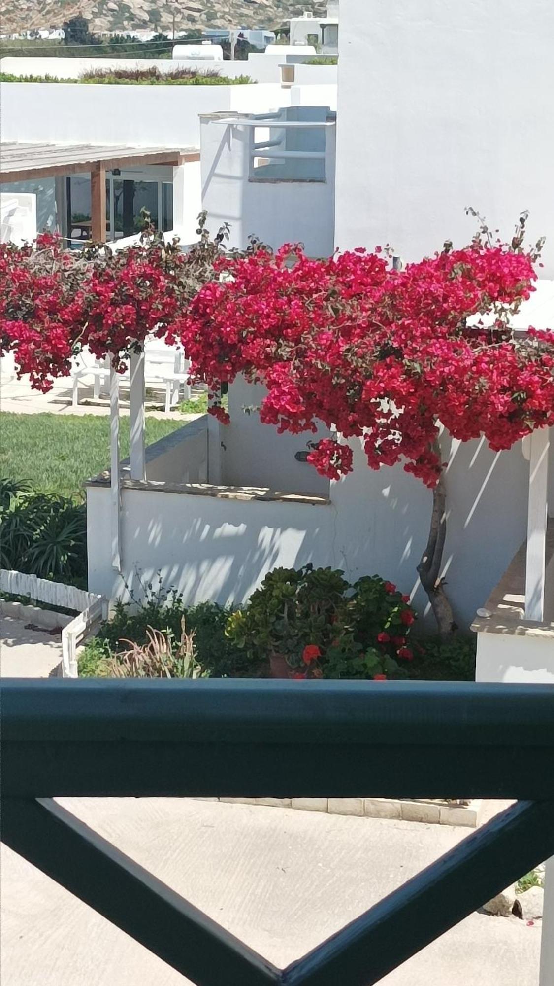 Magic Land Apartment Plaka  Exterior photo